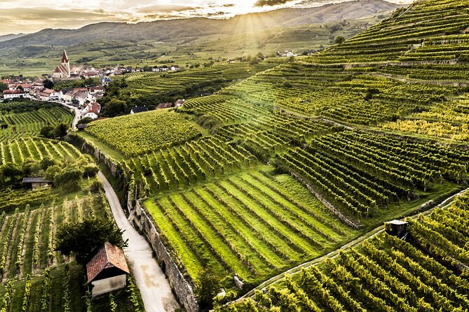 3 Castles & Wine Private Tour in Wachau Valley (incl. Melk Abbey) - Stop 3: Dürnstein, Cobblestones, and the Richard the Lionheart Moment
