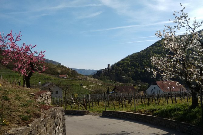 3-Hour Private Hiking Tour to historic places around Spitz in Wachau Valley - Why Spitz and the Wachau feel made for a guided hike