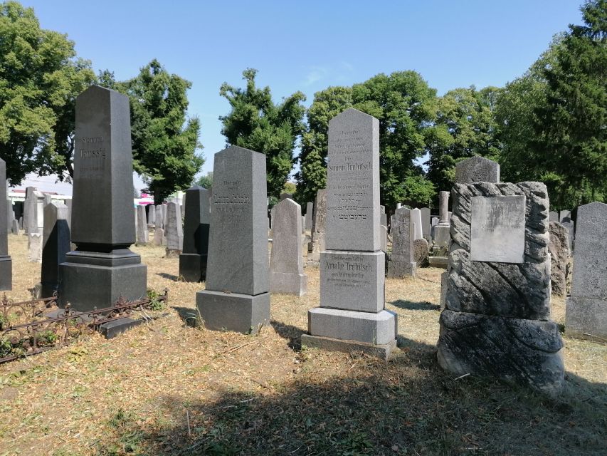 3-Hour Walking Tour of Vienna Central Cemetery - Who This Tour Fits Best