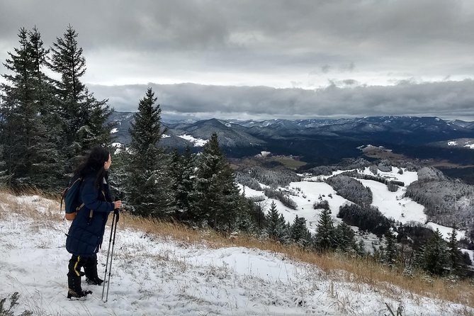 4-Hour Private Alpine Great George at High Wall Mountain from Vienna - Hohe Wand Highlights You’ll Actually Care About