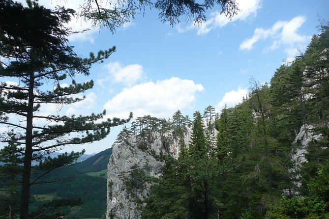 4-Hour Private Alpine Great George at High Wall Mountain from Vienna - The Great Gorge Route: Ladders, Rock Formations, and a Small Show Cave