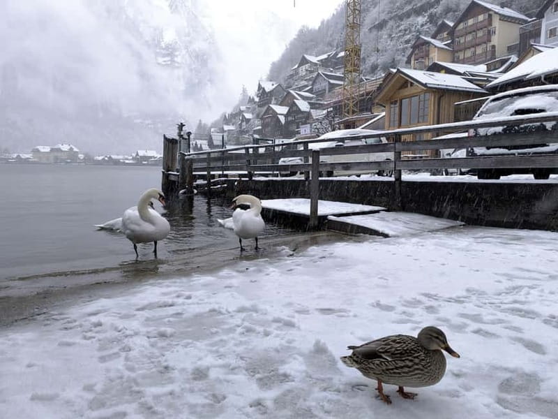 Alpine Beauty & Fairytale Towns: Hallstatt & Salzburg Tour - Key highlights you will actually feel