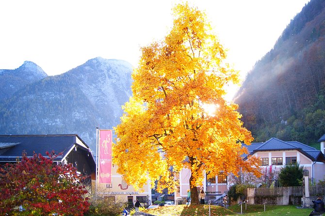 Alpine Hallstatt Day Trip from Vienna incl. Admont Abbey Visit - Stop 5: Another Landzeit break before heading back