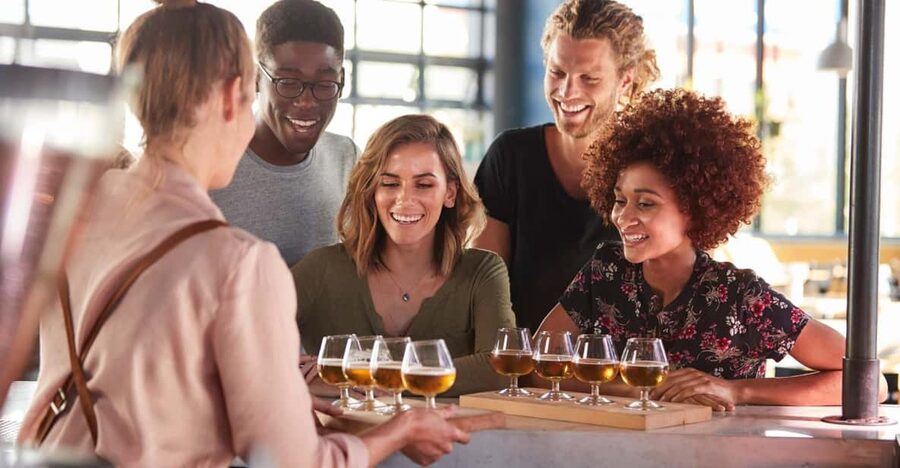 Austrian Beer Tasting and Self-Guided Tour of Vienna - The 6 Austrian Beers You Compare in Real Life