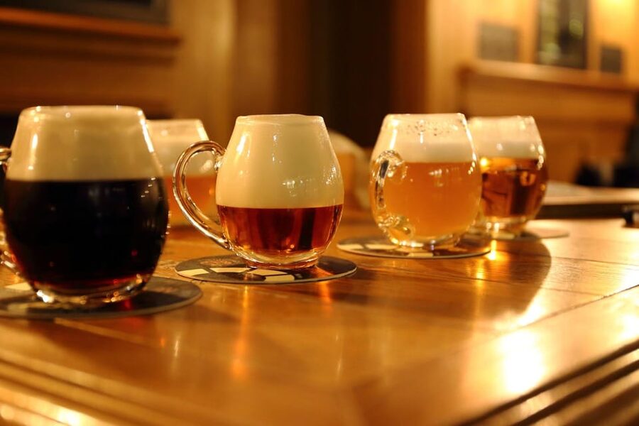 Austrian Beer Tasting and Self-Guided Tour of Vienna - The Best Way to Use It: A Simple, Practical Tasting Plan