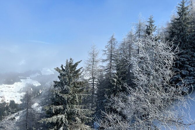 Austrian Hidden Gem Tour: The Most Beautiful Villages - Tratzberg Castle Option: The Ticketed Finish for Architecture and VR