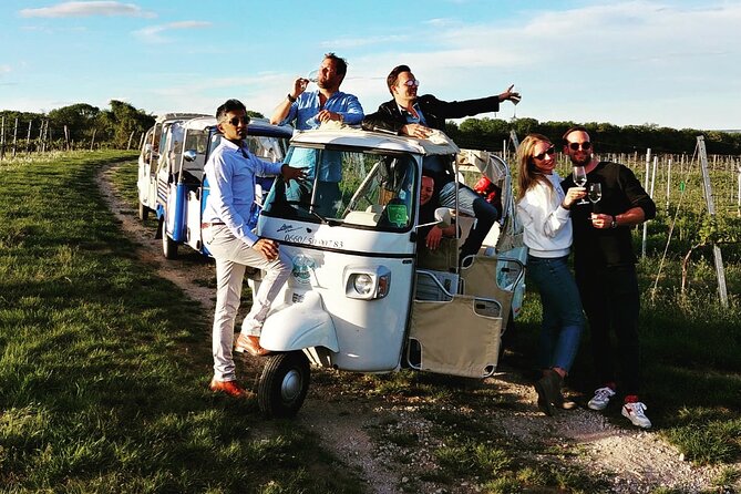 Best of Vienna Tour in TUK TUK! - Who This Tuktuk Tour Suits Best, And Who Might Prefer Something Else