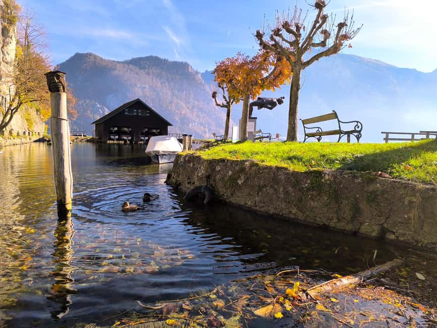 Bratislava/Vienna: Hallstatt, Salzburg, & Alpine Music Tour - Key highlights you should care about