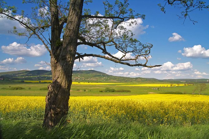 Budapest-Vienna One-Way Sightseeing Transfer - A One-Way Day That Adds Three Stops Before Vienna