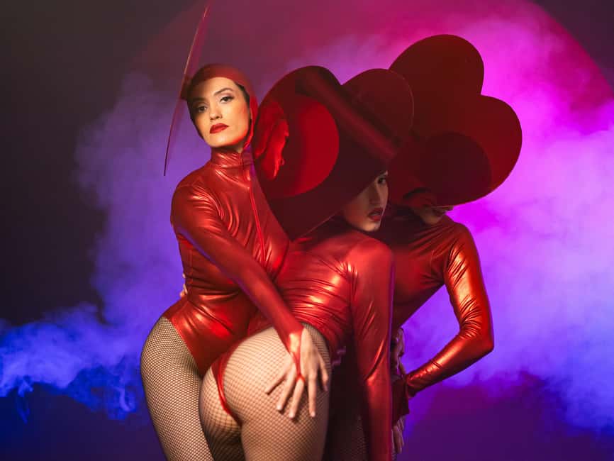 Burlesque Dinner Club in Vienna - Should you book the Burlesque Dinner Club in Vienna?
