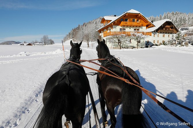 Christmas Horse-Drawn Sleigh/Carriage Ride from Salzburg - Getting to Ramsau: the Salzburg coach ride along the Salzach Valley