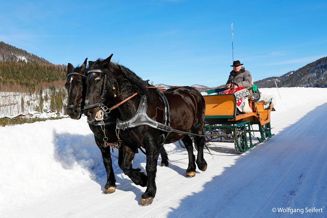 Christmas Horse-Drawn Sleigh/Carriage Ride from Salzburg - The return drive and Filzmoos scenic route
