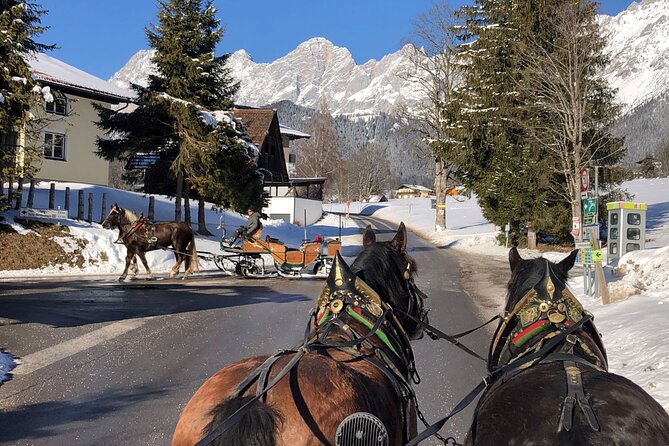 Christmas Horse-Drawn Sleigh/Carriage Ride from Salzburg - Snow reality check: how to handle warm weather and changing conditions