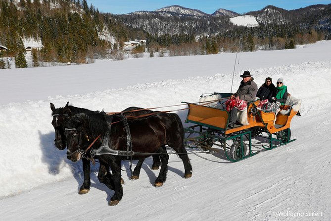 Christmas Horse-Drawn Sleigh/Carriage Ride from Salzburg - Who should book this Salzburg Christmas sleigh day trip