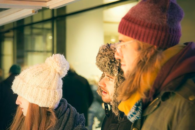 Christmas Market Vienna Tour - Price and what you get for around $103