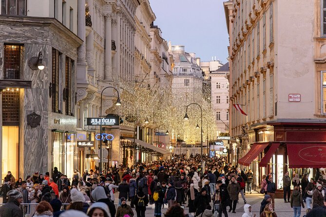 Christmas Walk Vienna : 5 Markets & Old Town in 3h (EN/DE) - MuseumsQuartier Wien, A More Unusual Market Break