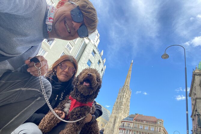 Classic Private City Tour Vienna - Price and logistics: what $905.09 per group buys you