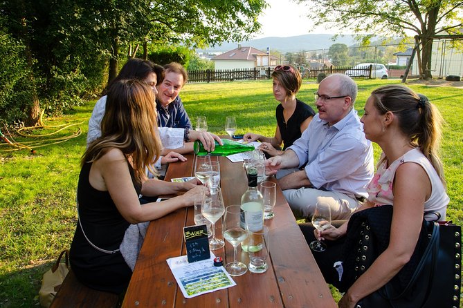 Countryside Half Day Wine Tour near Vienna - Key highlights worth your time