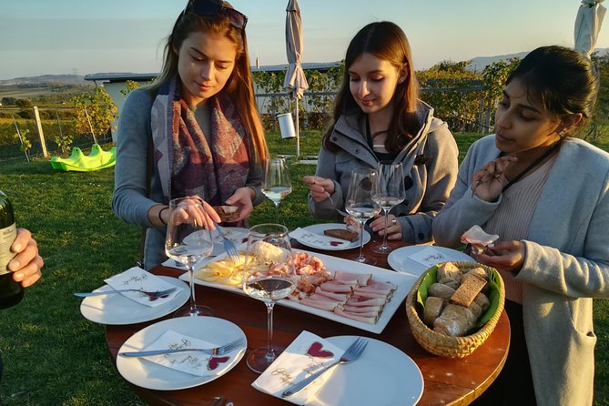 Countryside Half Day Wine Tour near Vienna - The first drive into wine country, and what you’ll learn on the way