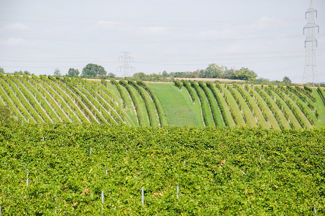 Countryside Half Day Wine Tour near Vienna - Austrian lunch or dinner: what’s included and why it matters