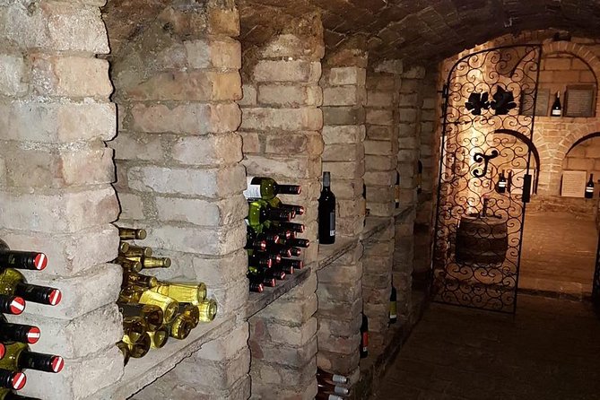Countryside Half Day Wine Tour near Vienna - Hotel pickup and smooth transport out of the city