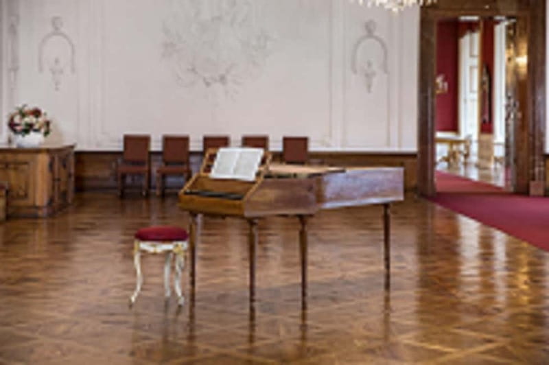 DomQuartier Salzburg: Date with Mozart! Afternoon concerts at the Residenz - Ensemble Changes by Program: String Quartets, Fortepiano, and Small Cast Reality