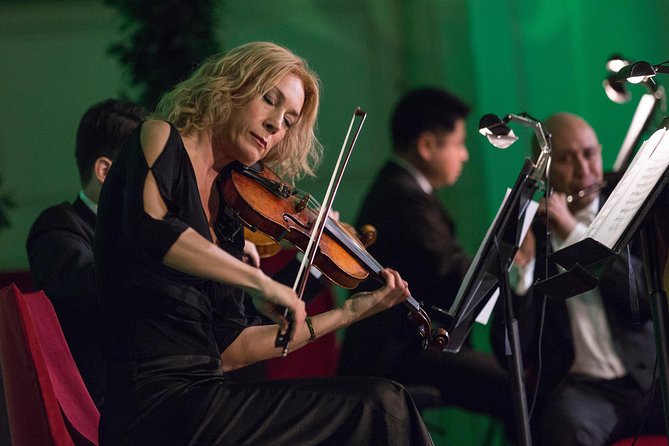 Exclusive Evening at Schönbrunn Palace: After-Hours Audiotour, Dinner, Concert - Who this evening suits best, and who may feel underwhelmed