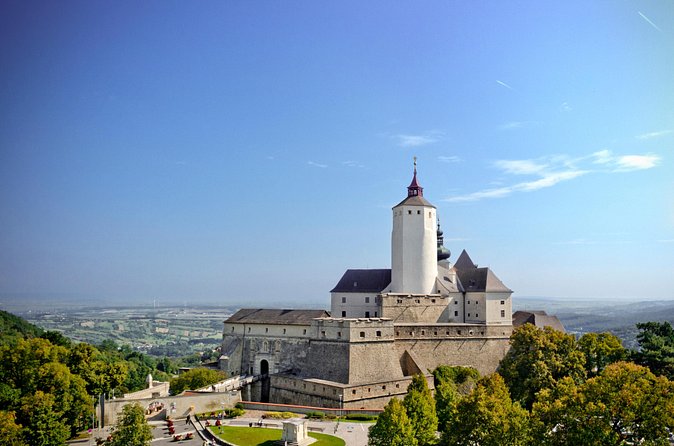 Forchtenstein Castle Guided Tour - Kunstkammer rooms and the logic of collecting