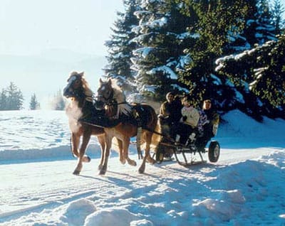 From Salzburg: Ramsau Day Trip with 1-hour Carriage Ride - Key highlights at a glance