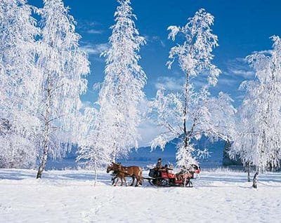 From Salzburg: Ramsau Day Trip with 1-hour Carriage Ride - The 1-hour horse-drawn carriage ride, and how to enjoy it fully