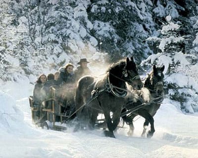 From Salzburg: Ramsau Day Trip with 1-hour Carriage Ride - What Ramsau looks like once the sleigh time starts
