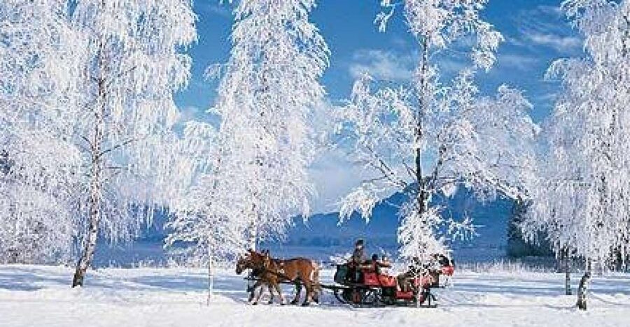 From Salzburg Romantic Carriage Ride through the Countryside - Key things to know before you go