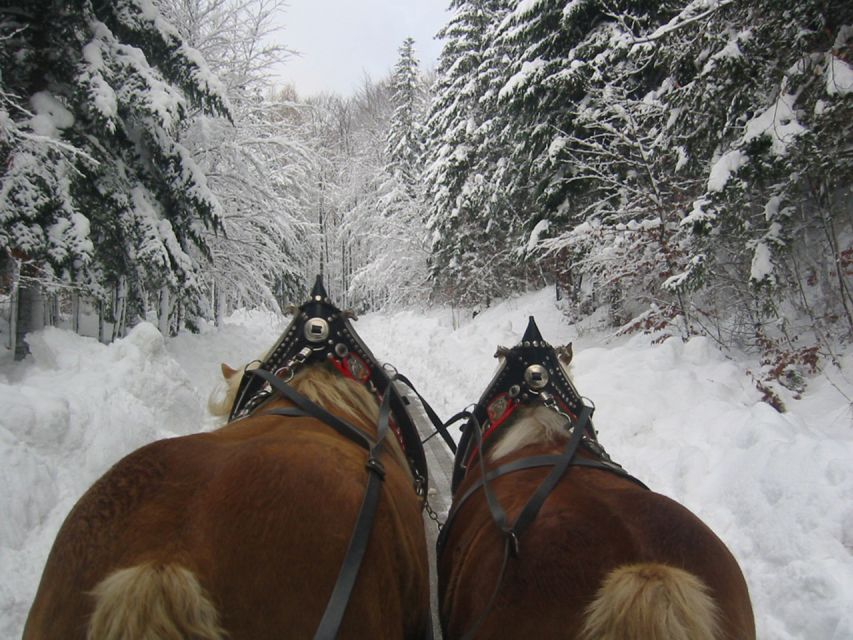 From Salzburg Romantic Carriage Ride through the Countryside - The sleigh ride details: blankets, horses, and snow versus wheels