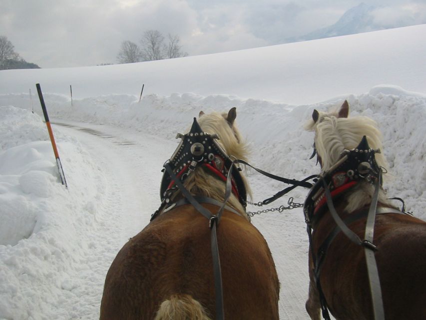 From Salzburg Romantic Carriage Ride through the Countryside - St Wolfgang in winter: coffee, lakeside walks, and Christmas markets