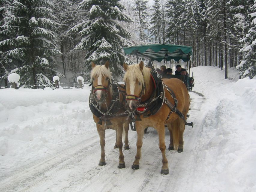 From Salzburg Romantic Carriage Ride through the Countryside - Price and value: $883 per group up to 8