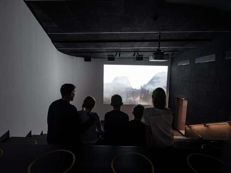 From Salzburg: Salt Mines Package - The White Gold Adventure - Salt Crystals Branch: Where the Mine Becomes Visual Poetry
