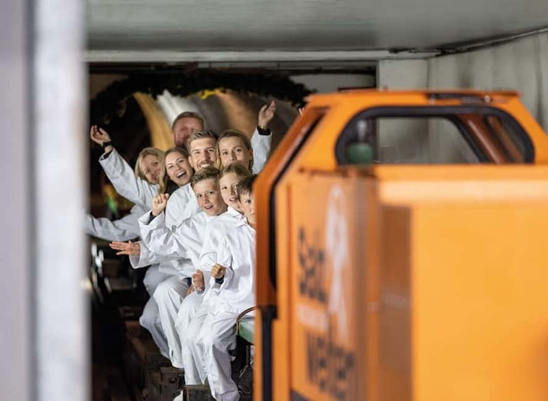 From Salzburg: Salt Mines Package - The White Gold Adventure - Skip-the-Line Entry Means More Mine Time
