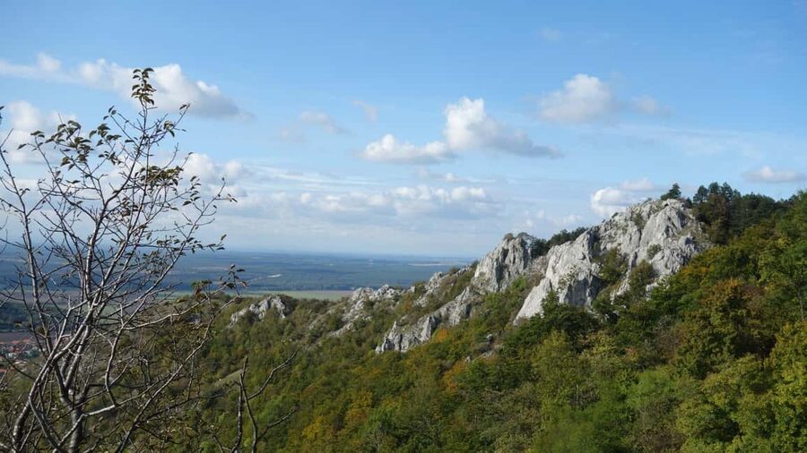 From Vienna: Bratislava & Countryside Guided Half Day Tour - Why This Tour Works When You Only Have One Day