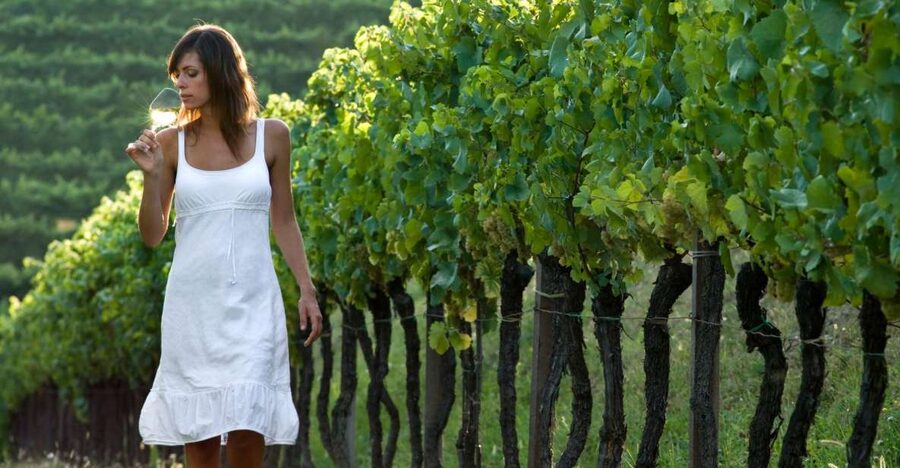 From Vienna: Half-day Countryside Wine Tour with Meal - Key highlights worth planning around