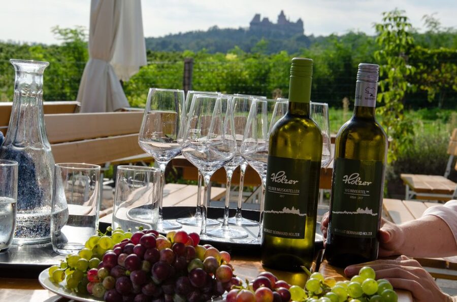 From Vienna: Half-day Countryside Wine Tour with Meal - Winery stops: how the tastings are structured