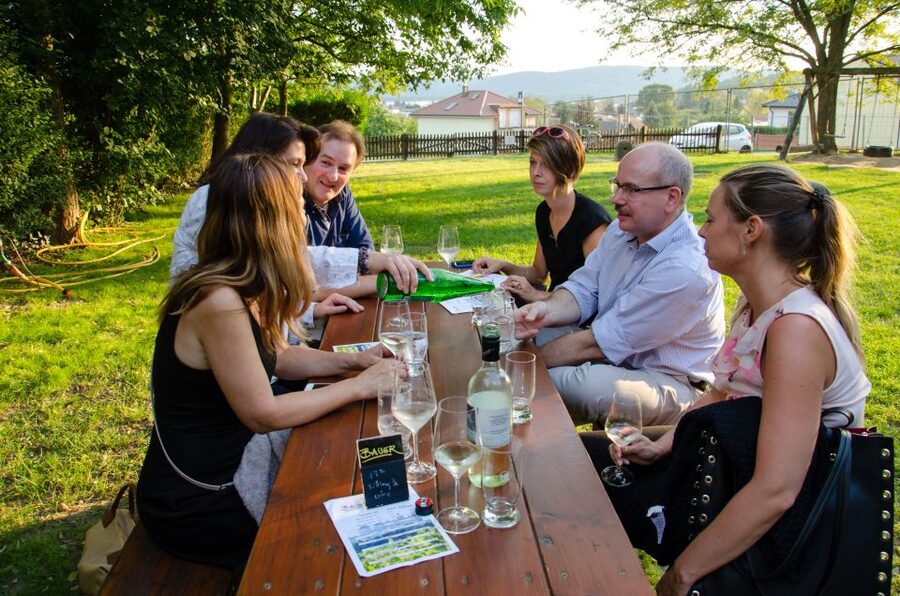 From Vienna: Half-day Countryside Wine Tour with Meal - Who should book this tour from Vienna