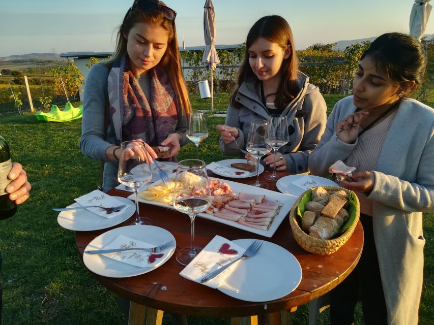 From Vienna: Half-day Countryside Wine Tour with Meal - Should you book this half-day countryside wine tour?