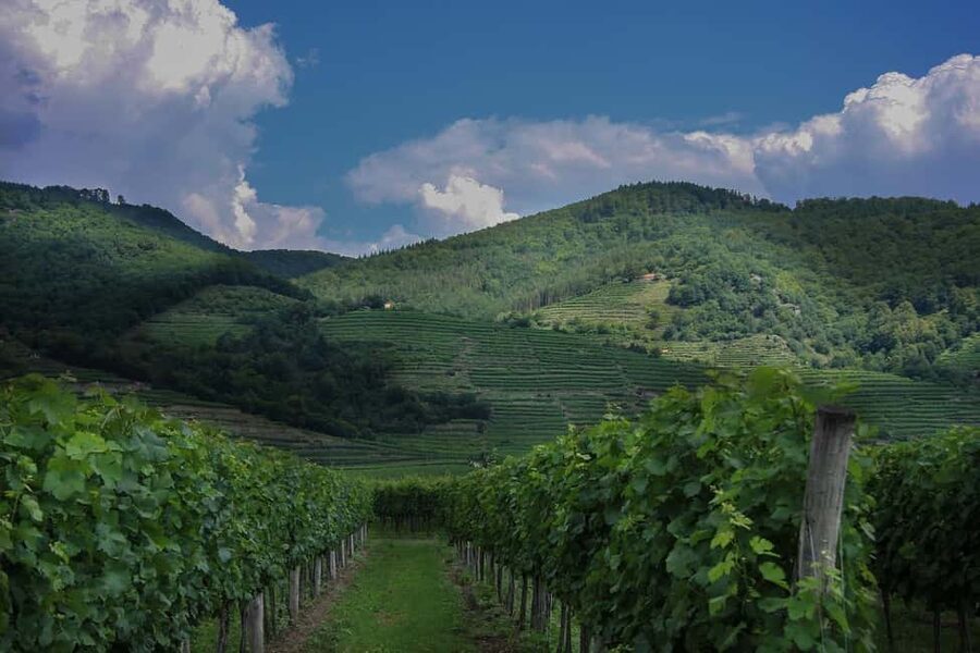 From Vienna: Melk Abbey to Salzburg - Baroque Gems - Who should take this, and who should skip it