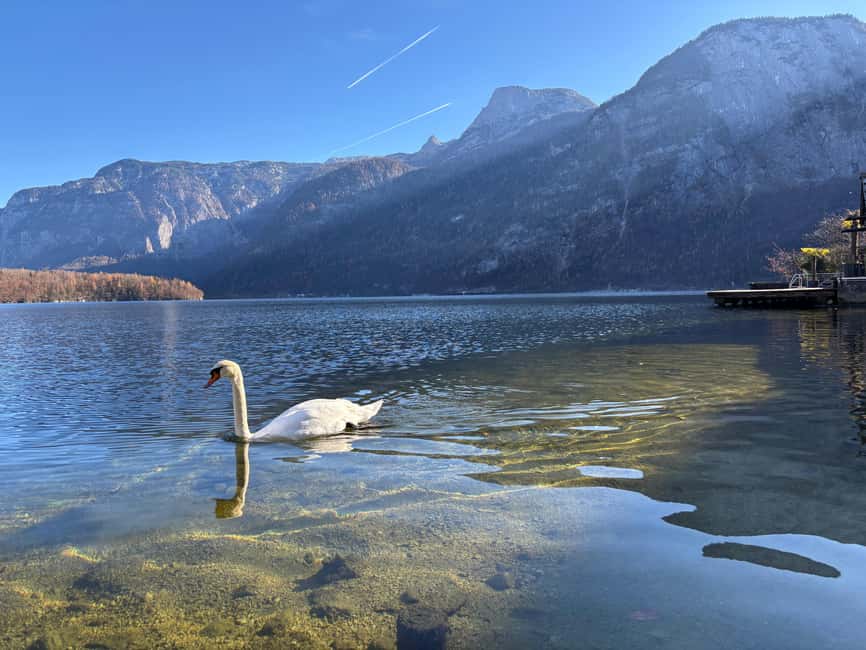 From Vienna: Traunkirchen, Hallstatt & Salzburg Day Trip - Food, weather, and what to pack so you stay comfortable