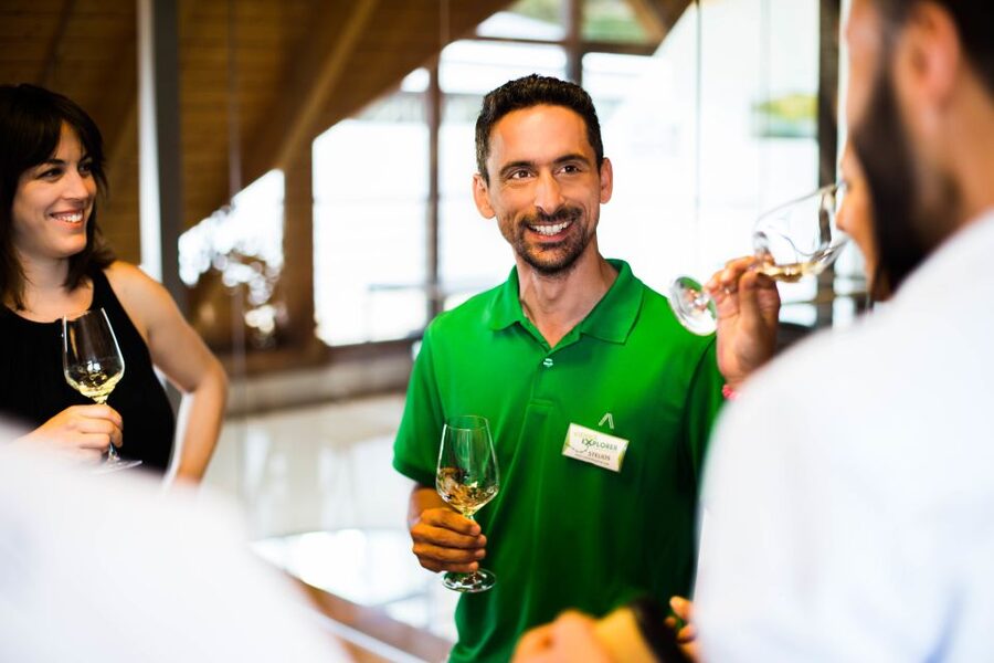 From Vienna: Wachau Valley Day Tour with Wine Tasting - Who should book this Wachau Valley tour from Vienna