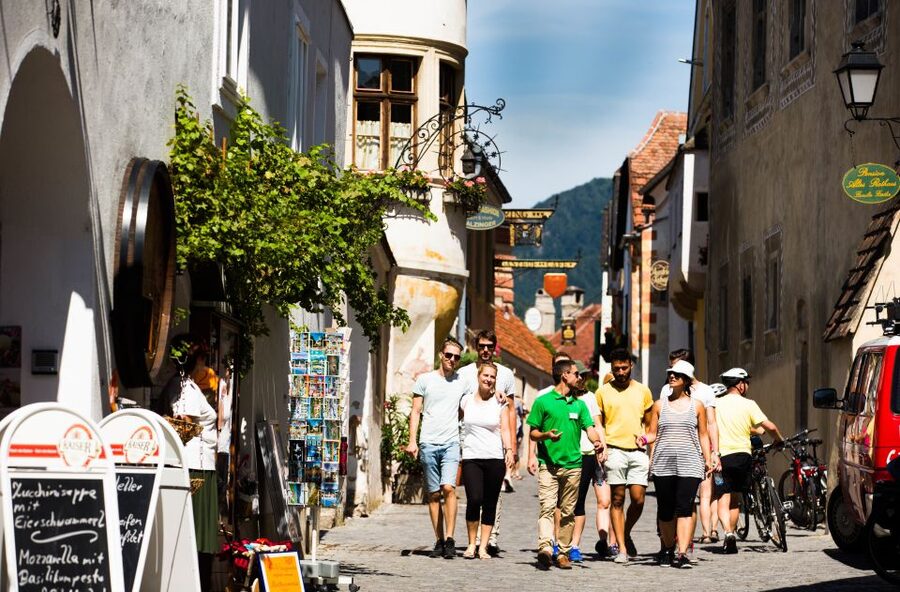 From Vienna: Wachau Valley Day Tour with Wine Tasting - Spitz tasting and the Wachau white wine style (with real teachable structure)