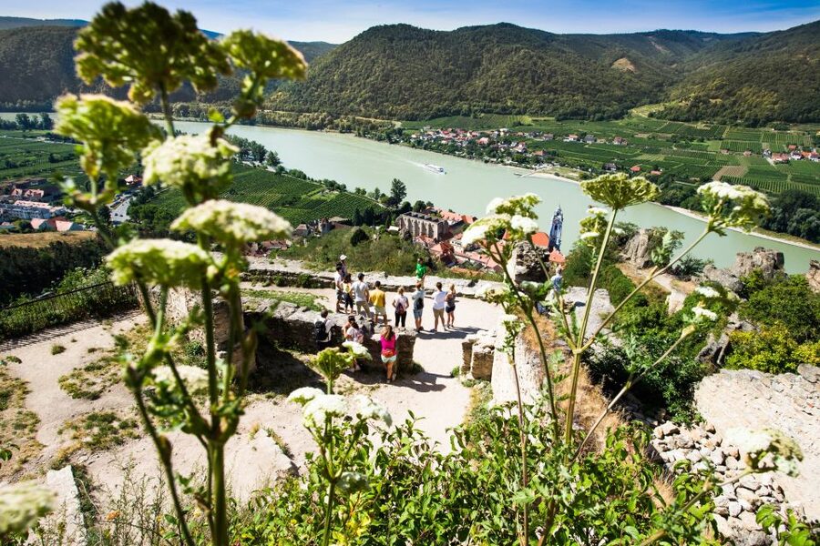 From Vienna: Wachau Valley Day Tour with Wine Tasting - Melk Abbey: how the day handles the season and why it still fits