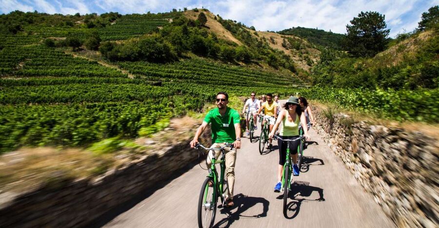 Grape Grazing: Wachau Valley Winery Biking Tour - Key Highlights Worth Getting Excited About