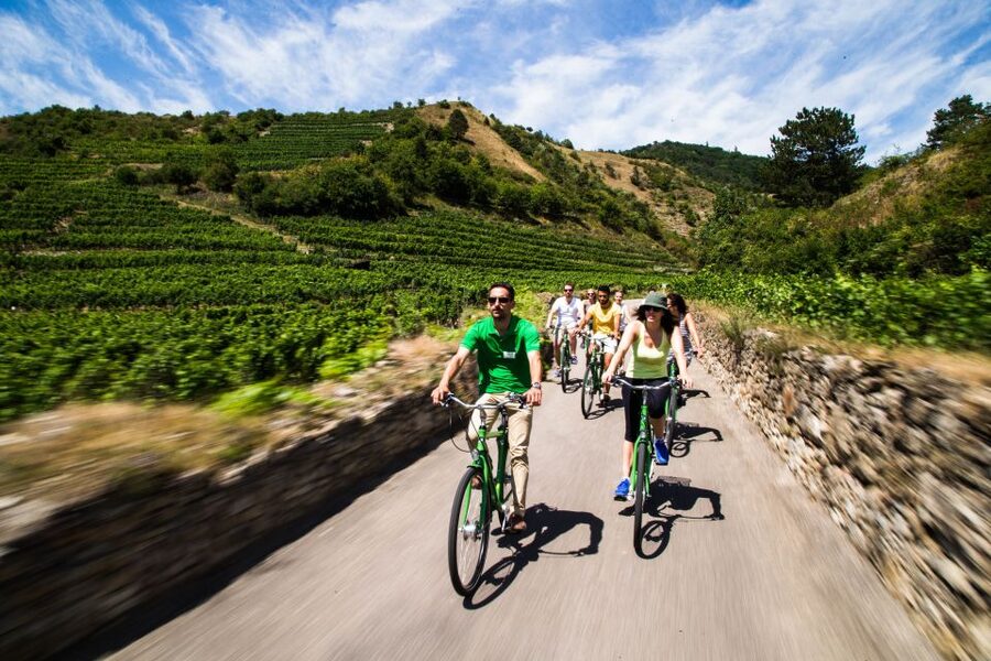 Grape Grazing: Wachau Valley Winery Biking Tour - Wachau Valley by Train, Then Bike: The Smart Way to Start