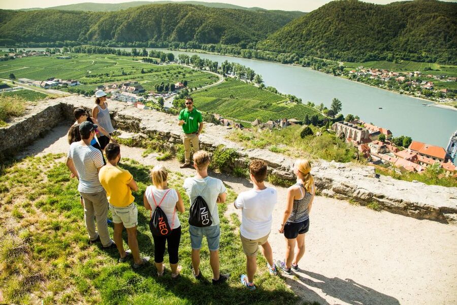 Grape Grazing: Wachau Valley Winery Biking Tour - Lunch in the Valley: Simple Food, Local Rhythm, Plan for Cash